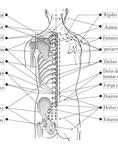 ACUPUNTURISTA ZHOU LI MENG